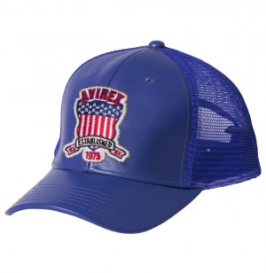 Avirex Icon Trucker Hat Muške Šeširi Visebojne | MLTX-65247