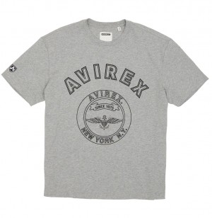 Avirex Stadium Tee Muške Tees Sive | FJRT-62785