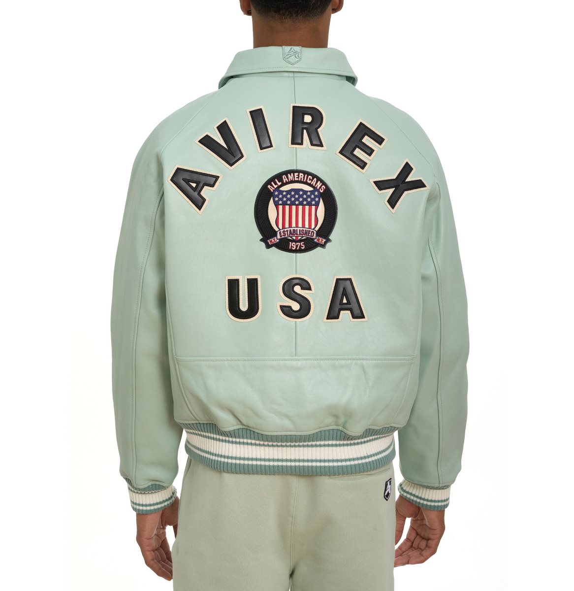 Avirex Icon Jacket Muške Leather Seafoam | ODJN-87304