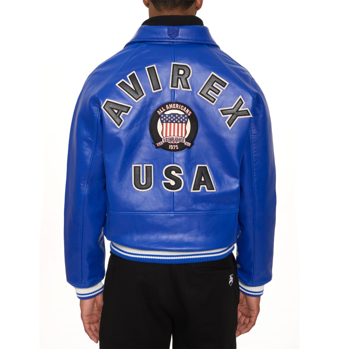 Avirex Icon Jacket Muške Leather Tamno Plave | DLMT-97283