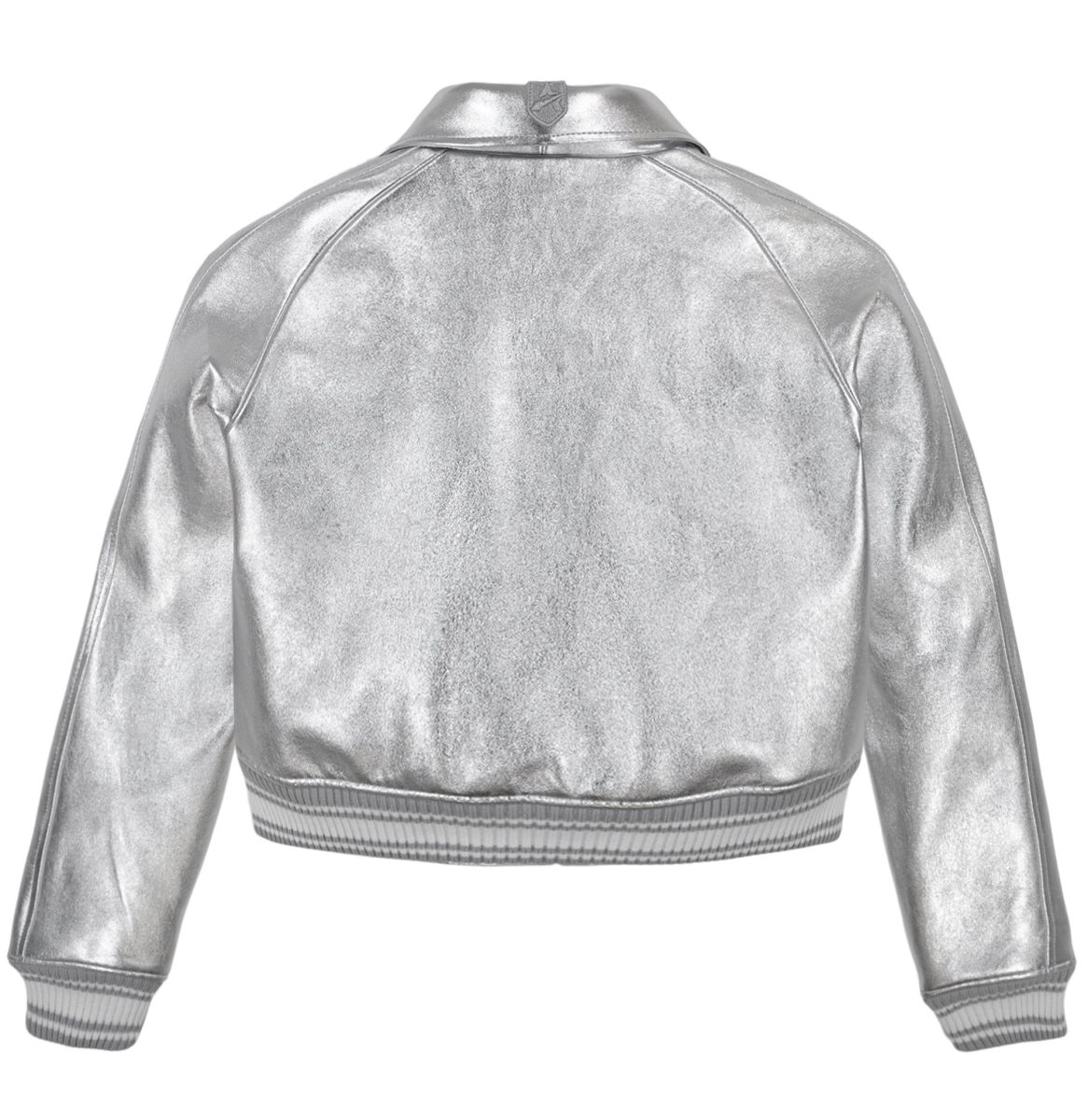 Avirex Limited Edition Cropped Metallic Icon Jacket Ženske Jakna Srebrne | ECRI-15263